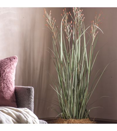 Pottano Grass w/9 Heads Green,Russet