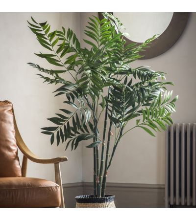 Arecano Palm Tree Large
