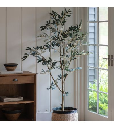 Olivano Tree Large