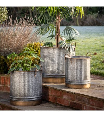 Sylvano Planter Set of 3