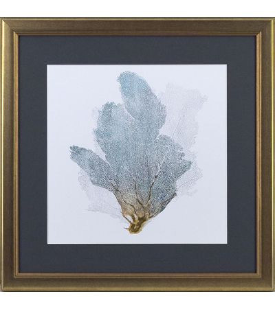 Delicate Coral ii by Camelot Pictures | Style Our Home