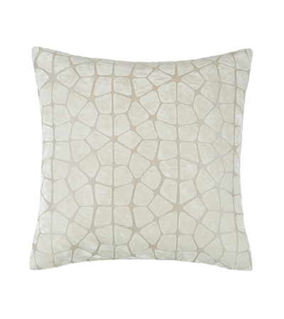 Abstract Circularcut Velv Ivory by Malini | Style Our Home