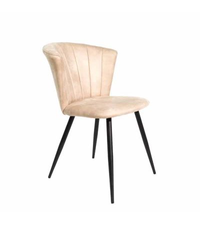 Shelby Dining Chair Moleskin Oyster SET OF 2 by Monologue | Style Our Home