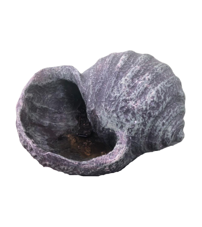 Conch Shell by Monologue | Style Our Home