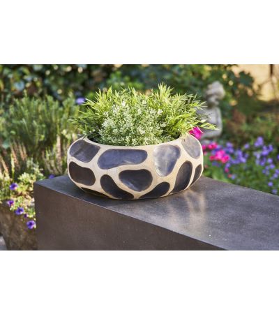 Flores - Giraffe Bowl by Monologue | Style Our Home
