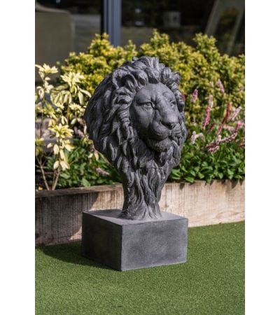 Lion by Monologue | Style Our Home