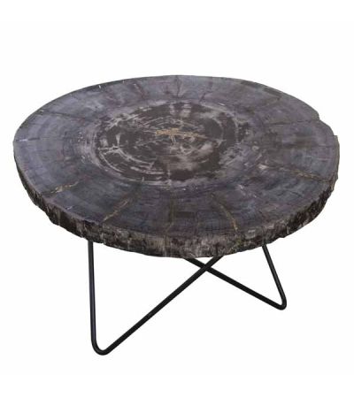 Petrified Wood Round Coffee Table by Bluebone | Style Our Home