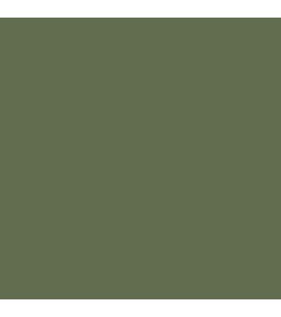 Allotment Paint Absolutely by William Yeoward| Style Our Home