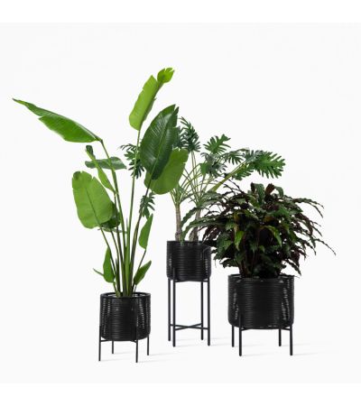 Vincent Sheppard Ivo Plant Stand - Medium 