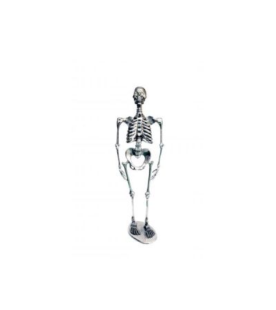 Skeleton H120cm by Quirky Barn | Style Our Home