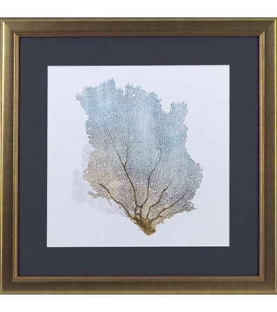 Delicate Coral i by Camelot Pictures | Style Our Home