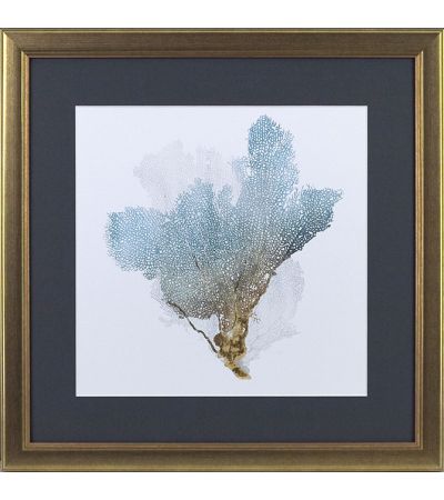 Delicate Coral iii by Camelot Pictures | Style Our Home