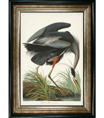 Great Blue Heron by Camelot Pictures | Style Our Home