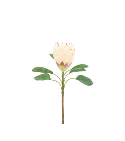 Faux Stem Statement Tropical Ivory (12pk) by Gallery Living | Style Our Home
