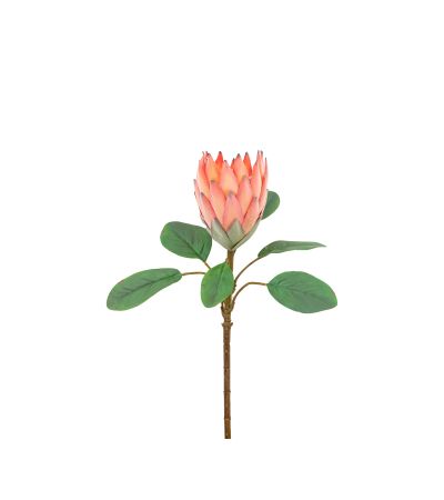 Faux Stem Statement Tropical Apricot (12pk) by Gallery Living | Style Our Home