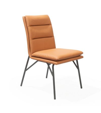 Meo Dining Chair - Set of 2 - Honey by Tommy Franks | Style Our Home