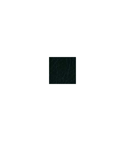 Black Leather