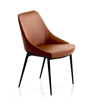 Scande Dining Chair - Set of 2 - Tan by Tommy Franks | Style Our Home