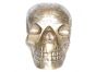 Giant Antique Brass Skull H30cm W50