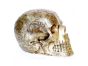 Giant Antique Brass Skull H30cm W50