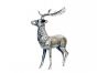 Deer H68cm