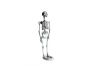 Skeleton H120cm