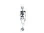 Skeleton H120cm