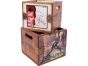 Set of 4 Record Boxes BX-132-PP2