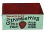 Set of 3 Metal Strawberry Trays