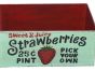 Set of 3 Metal Strawberry Trays