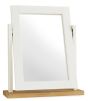 Atlanta Two Tone Vanity Mirror - Style Our Home