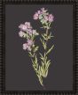 Botanicals on Black III by Camelot Pictures | Style Our Home