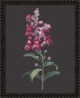 Botanicals on Black V by Camelot Pictures | Style Our Home
