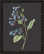 Botanicals on Black VI by Camelot Pictures | Style Our Home