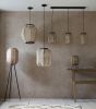 Zairano 1 Pendant Light