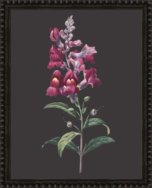 Botanicals on Black V by Camelot Pictures | Style Our Home