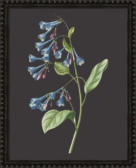 Botanicals on Black VI by Camelot Pictures | Style Our Home