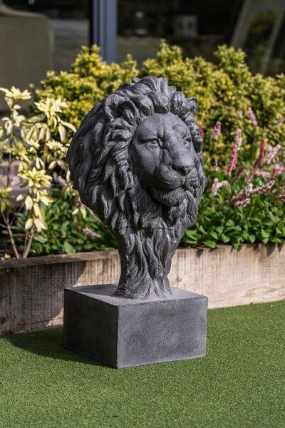 Lion by Monologue | Style Our Home