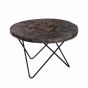 Petrified Wood Round Coffee Table by Bluebone | Style Our Home