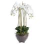 Large White Orchid In Glass Pot by Hill Interiors | Style Our Home
