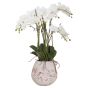 Large Stone Potted Orchid With Roots by Hill Interiors | Style Our Home
