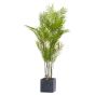 Large Paradise Potted Palm by Hill Interiors | Style Our Home