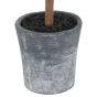 Christmas Fir Tree in Stone Pot by Hill Interiors | Style Our Home