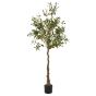 Calabria Olive Tree by Hill Interiors | Style Our Home  