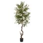 Calabria Large Olive Tree by Hill Interiors | Style Our Home  