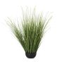Large Onion Grass Plant In Pot by Hill Interiors | Style Our Home  
