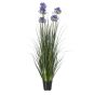 Large Blue Agapanthus Plant In Pot by Hill Interiors | Style Our Home  