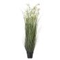 Large White Meadow Plant In Pot by Hill Interiors | Style Our Home  
