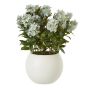 Large Green Hydrangea Plant In Pot by Hill Interiors | Style Our Home  