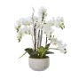 Large White Orchid In Ceramic Pot by Hill Interiors | Style Our Home  